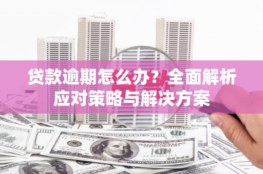 汕尾贷款逾期怎么办？全面解析应对策略与解决方案