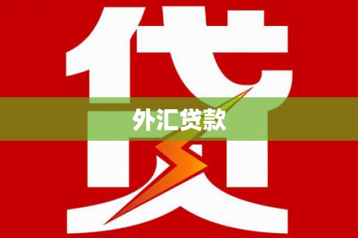 汕尾外汇贷款