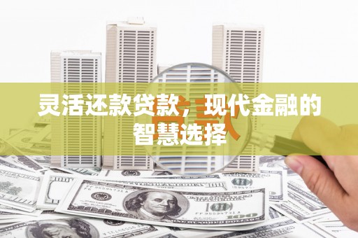 汕尾灵活还款贷款，现代金融的智慧选择