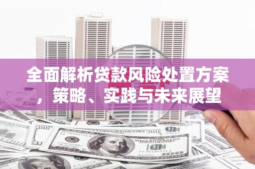 汕尾全面解析贷款风险处置方案，策略、实践与未来展望