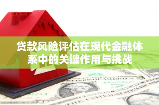 汕尾贷款风险评估在现代金融体系中的关键作用与挑战
