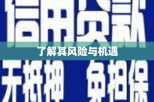 汕尾了解其风险与机遇