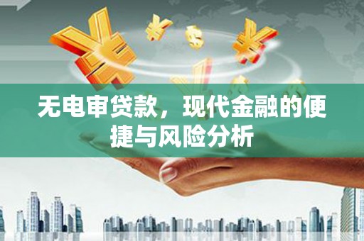 汕尾无电审贷款，现代金融的便捷与风险分析