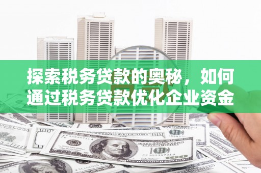 汕尾探索税务贷款的奥秘，如何通过税务贷款优化企业资金流