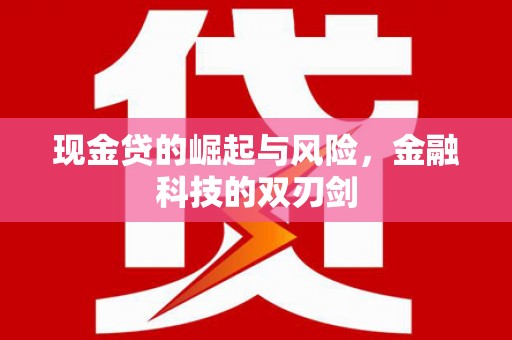 汕尾现金贷的崛起与风险，金融科技的双刃剑