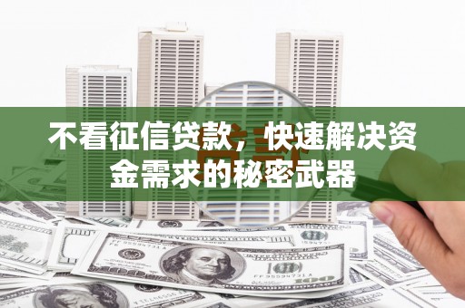 汕尾不看征信贷款，快速解决资金需求的秘密武器