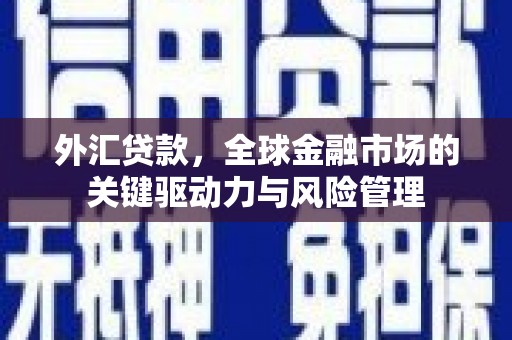 汕尾外汇贷款，全球金融市场的关键驱动力与风险管理