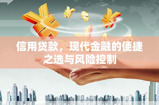 汕尾信用贷款，现代金融的便捷之选与风险控制