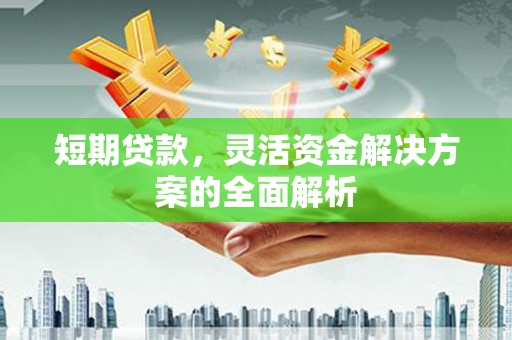汕尾短期贷款，灵活资金解决方案的全面解析