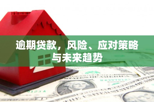 汕尾逾期贷款，风险、应对策略与未来趋势