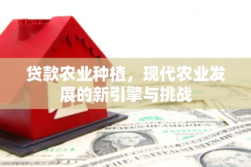 汕尾贷款农业种植，现代农业发展的新引擎与挑战