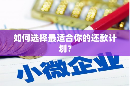 汕尾如何选择最适合你的还款计划？