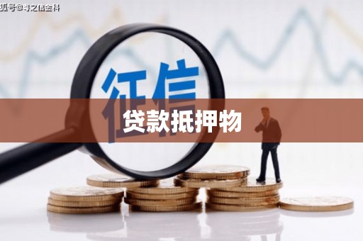 汕尾贷款抵押物