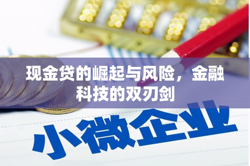 汕尾现金贷的崛起与风险，金融科技的双刃剑