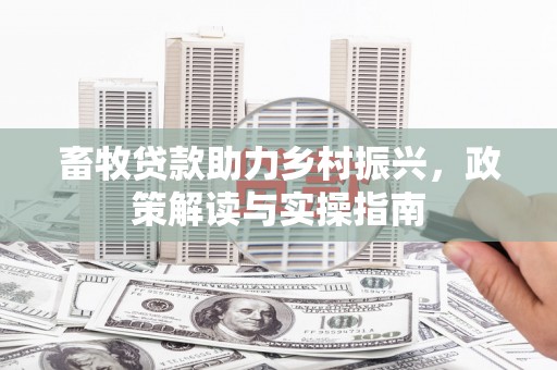 汕尾畜牧贷款助力乡村振兴，政策解读与实操指南