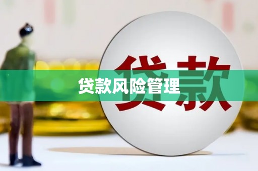 汕尾贷款风险管理