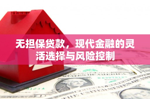 汕尾无担保贷款，现代金融的灵活选择与风险控制