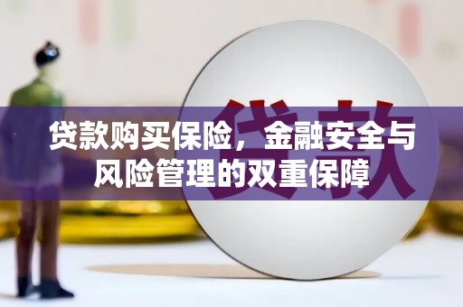 汕尾贷款购买保险，金融安全与风险管理的双重保障
