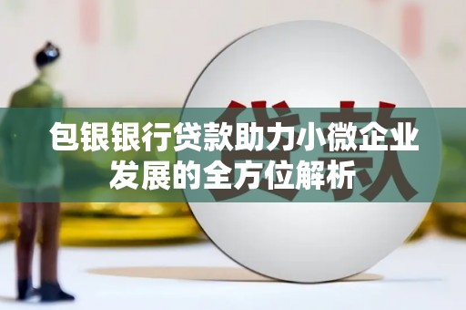 汕尾包银银行贷款助力小微企业发展的全方位解析