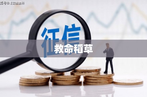 汕尾救命稻草