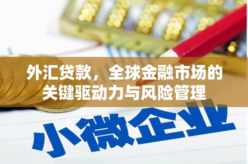 汕尾外汇贷款，全球金融市场的关键驱动力与风险管理