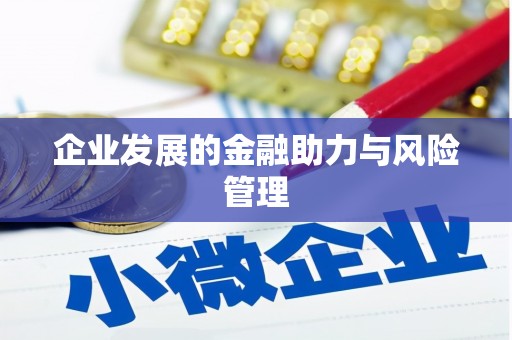 汕尾企业发展的金融助力与风险管理