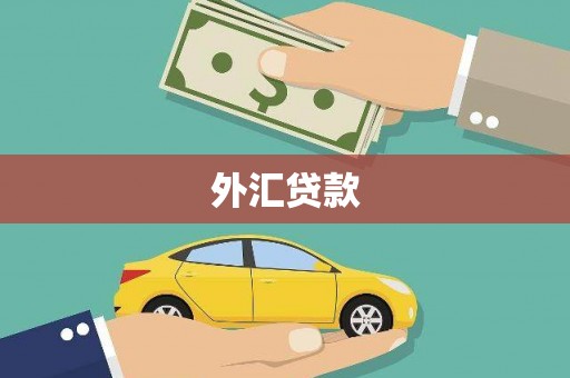 汕尾外汇贷款