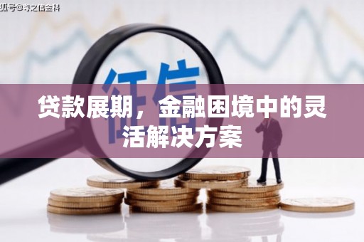 汕尾贷款展期，金融困境中的灵活解决方案