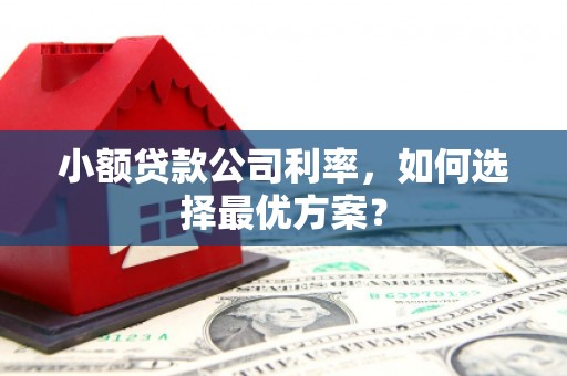 汕尾小额贷款公司利率，如何选择最优方案？