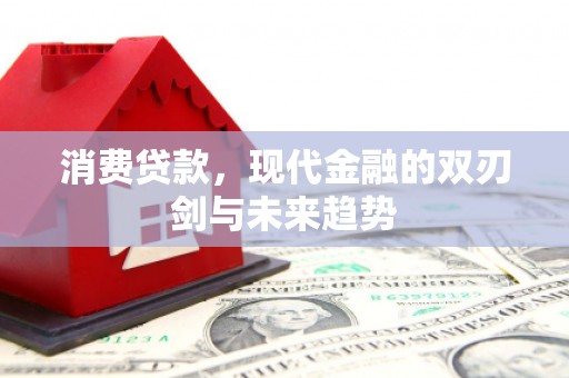 汕尾消费贷款，现代金融的双刃剑与未来趋势