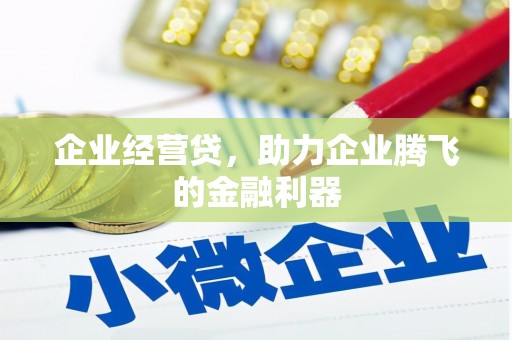 汕尾企业经营贷，助力企业腾飞的金融利器