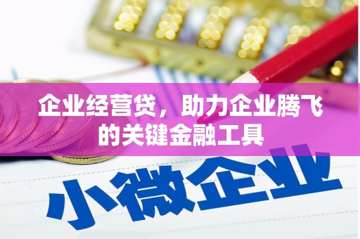 汕尾企业经营贷，助力企业腾飞的关键金融工具