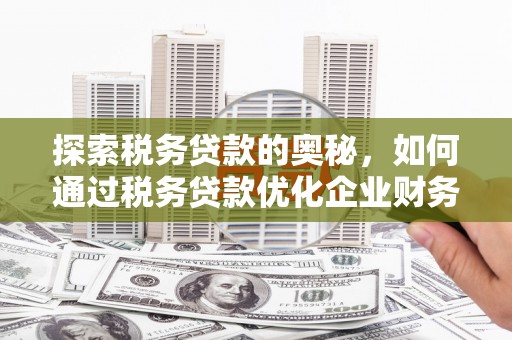 汕尾探索税务贷款的奥秘，如何通过税务贷款优化企业财务