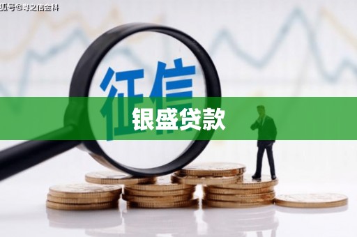 汕尾银盛贷款
