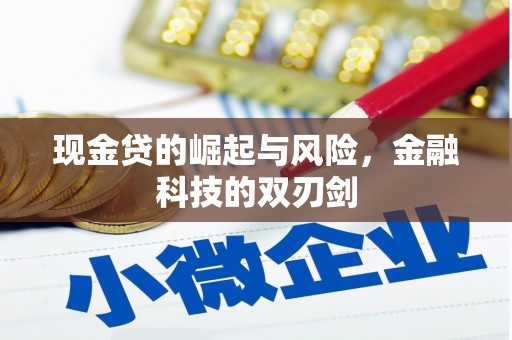 汕尾现金贷的崛起与风险，金融科技的双刃剑