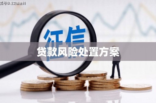 汕尾贷款风险处置方案