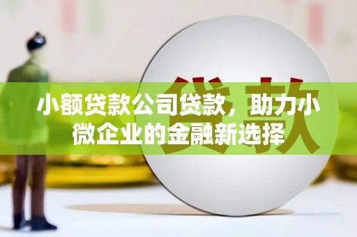 汕尾小额贷款公司贷款，助力小微企业的金融新选择