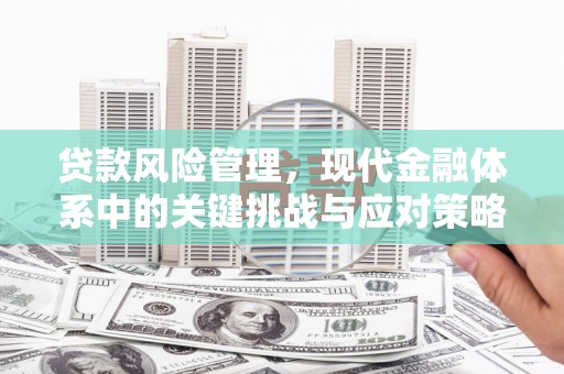汕尾贷款风险管理，现代金融体系中的关键挑战与应对策略