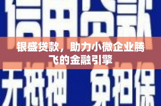 汕尾银盛贷款，助力小微企业腾飞的金融引擎