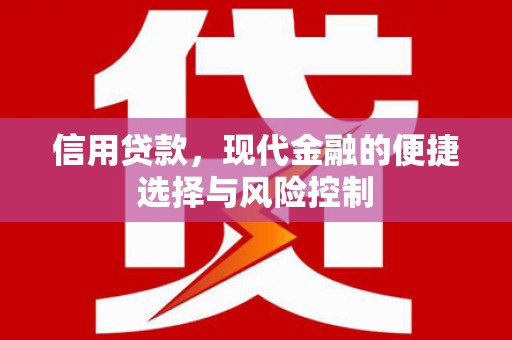 汕尾信用贷款，现代金融的便捷选择与风险控制