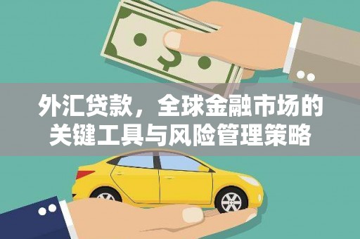 汕尾外汇贷款，全球金融市场的关键工具与风险管理策略