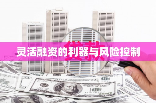 汕尾灵活融资的利器与风险控制