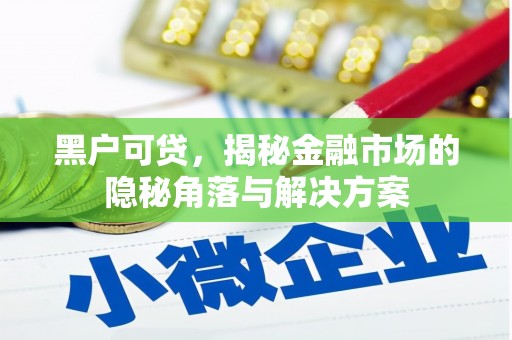 汕尾黑户可贷，揭秘金融市场的隐秘角落与解决方案