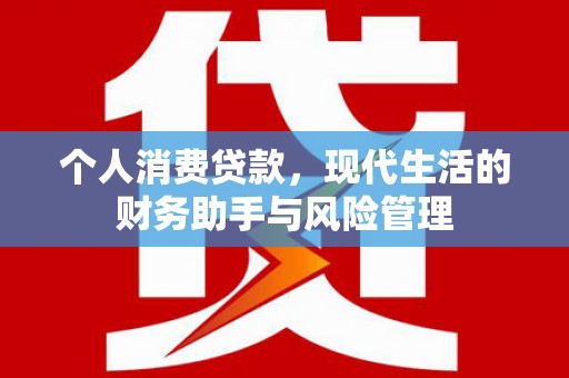 汕尾个人消费贷款，现代生活的财务助手与风险管理