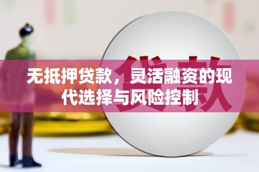 汕尾无抵押贷款，灵活融资的现代选择与风险控制