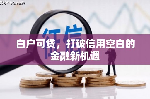 汕尾白户可贷，打破信用空白的金融新机遇