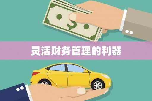 汕尾灵活财务管理的利器