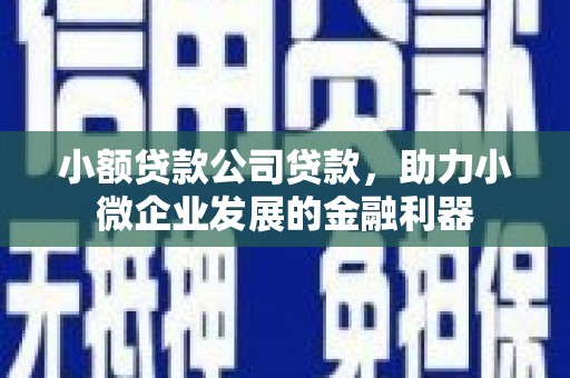 汕尾小额贷款公司贷款，助力小微企业发展的金融利器