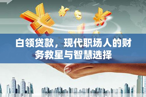 汕尾白领贷款，现代职场人的财务救星与智慧选择
