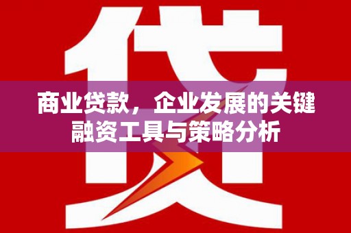 汕尾商业贷款，企业发展的关键融资工具与策略分析